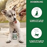 Bio Hanföl für Hunde und Katzen 500ml I 100% Natürlich und Kaltgepresst - Unterstützung für Fell & Haut durch Omega 3-6-9, Beruhigungsmittel für Hunde - DE-ÖKO-060