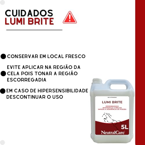 Lumi Brite(Desembaraça,intensifica o brilho e impede a aderencia de poeira) 5L