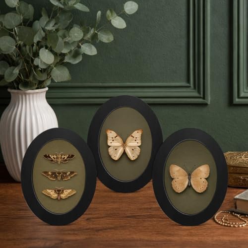 3Pcs Vintage Moody Butterfly Art Oval Small Wall Art Framed Decor — view 3