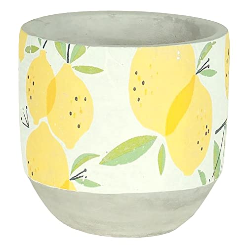 Lucky Winner Fresh Lemon Planter Pot - Cement Succulent Planter for Indoor Outdoor Home Garden Decor - Meyer Lemon Tree Flower Pot for Country, Cottage Decor Garden Accessory