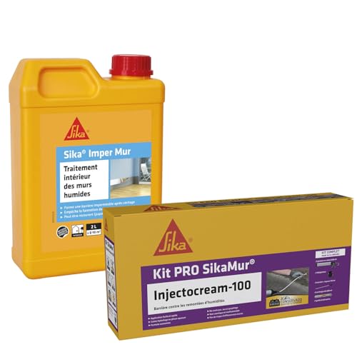 Stopper les moisissures avec Sika Injectocream 100 et résine