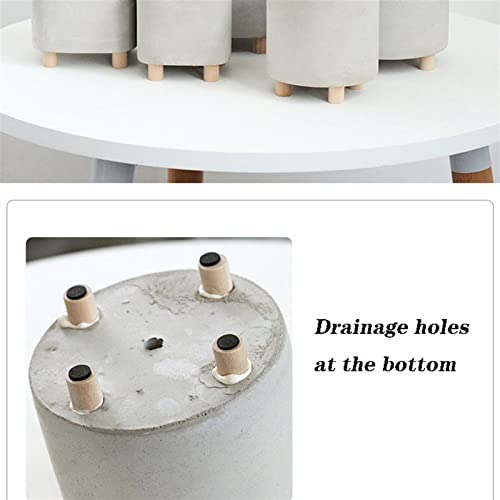 Petite plante en pot stable contre les chutes - 4