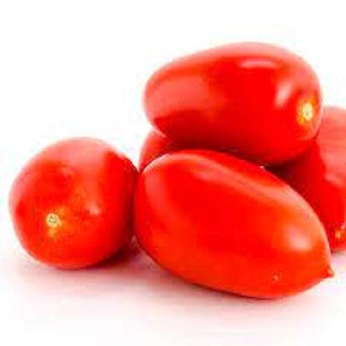 Big Mama tomato seeds 90