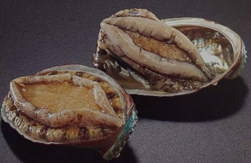 冷凍 蝦夷あわび 殻付 個約61-70g 1kg×10P 業務用 冷凍