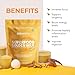Paleovalley Organic Superfood Golden Milk - Immune, Focus, Cognitive, Longevity - Turmeric, MCT-Rich Coconut Milk, Functional Mushrooms, 30 Servings