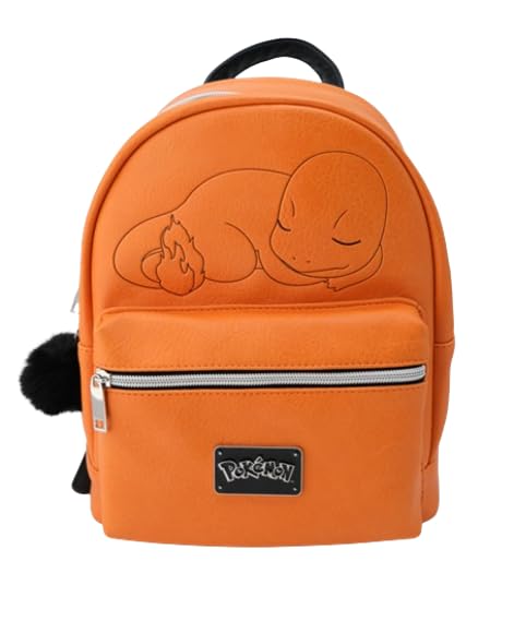 Sac Pokémon Salamèche l'idée cadeau parfaite pour joueur de Nintendo Switch