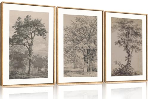 Image of KAIRNE Vintage Tree Sketch Framed Canvas Wall Art Set, Antique Tree Drawings Wall Decor, Retro Forest Art Prints, Modern Nature Landscape Artwork for Living Room, Bedroom, Farmhouse, Office-16 x24 x3