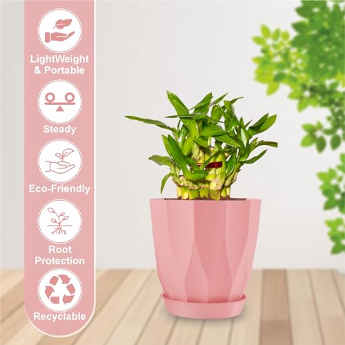 Image of JD FRESH 5 Pack Plastic ARO Flower Pots with Drainage & Bottom Tray /Lightweight, UV & Weather Resistant /6 Inch Planters for Indoor /Outdoor /Home /Balcony /Terrace /Garden Plant Pots (Baby Pink)