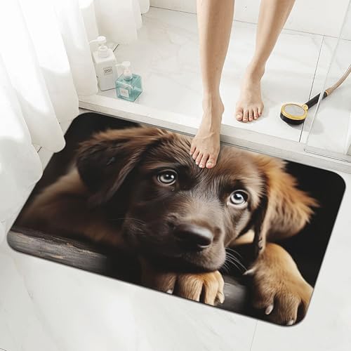 Tapis de bain en pierre anti-glisse et absorbant chiot - 5