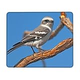 【FACILE À NETTOYER ET À ENTRETENIR】tapis de souris la surface a un revêtement imperméable à l'eau et à la poussière. Les taches de café ou la poussière peuvent être facilement enlevées avec un chiffon humide, sans besoin de nettoyage complexe.