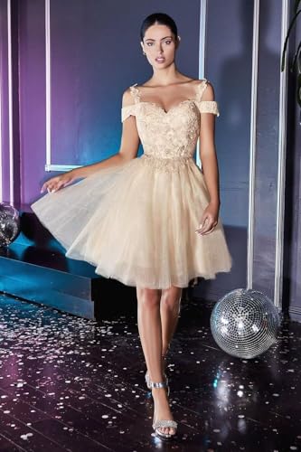 Women's Lace Appliques Short Homecoming Dresses 2025 Cold Shoulder Glitter Tulle Cocktail Party Gowns4