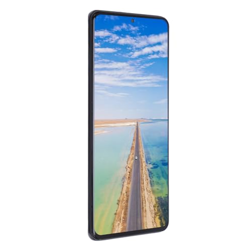 BinZyronic LCDfBXvC^b`AZu for S20+ ? 3D^b`Ήp j\sǂ̏C