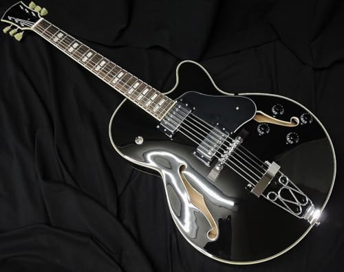 Sire Larry Carlton H7F BK TCA[ [J[g tAR^Cv GLM^[ ubN AEgbg