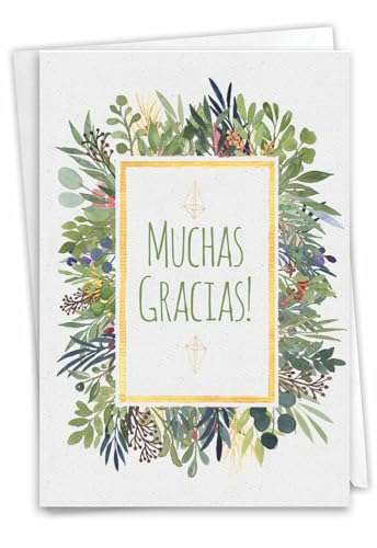 NobleWorks - 1 Spanish Thank You Card with Envelope - Espanol Gratitude Stationery Greeting - Muchas Gracias C6649TYG-SL