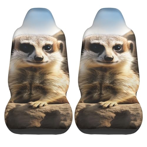 Housses de siège voiture suricate : lot de 2 protections lavables