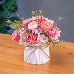 Tea Hydrangea,pink