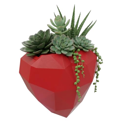 Self-Watering Planter Pot