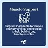 Acetyl L-Carnitine HCL Powder | Horse Energy Supplement & Muscle Supplement for Horses Supporting Muscle Function & More | Antioxidant-Rich Pure Formula | 1 lb Bag