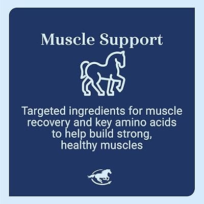 Acetyl L-Carnitine HCL Powder | Horse Energy Supplement & Muscle Supplement for Horses Supporting Muscle Function & More | Antioxidant-Rich Pure Formula | 1 lb Bag