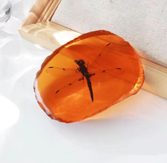 RRBMMH 1 Pc Amber Fossil Insect, Dragonfly Scorpion Artificial Amber Specimen for Amber Fossil Collections Ornament Decor Resin Crystal Sample (Dragonfly)