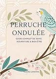 Perruche Ondulée: Guide Complet de Soins, Nourriture & Bien-Être