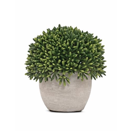 Image of Pure Home and Living Green Faux Round Grass with Cement Pot