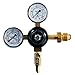 Taprite Dual Gauge Nitrogen Regulator for CGA 580 Valve