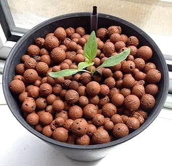 Lecca balls for soil mix, Expanded Clay Pebbles Growing Media, Hydroponics Substrate,