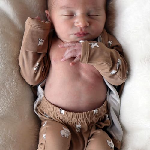 Bonsie Skin to Skin Babywear Footed Bodysuit - French Bulldog Pattern Baby One Piece - Frenchie2