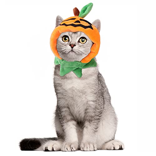 Sombrero de Halloween para gatos y perros pequeños