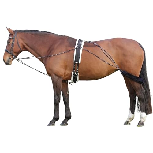 Hunters Saddlery Lunging Aid for Horses Compatible with Pessoa Training System