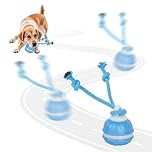 Noaya 2026 New Chase Buddy Dog Toy - Interactive Dog Ball for Boredom with 2 Chew Ropes, Active Dog Ball with Tail and Bird Sounds, USB Charging Moving Dogs Toys for Small Medium Large Dogs (Blue)