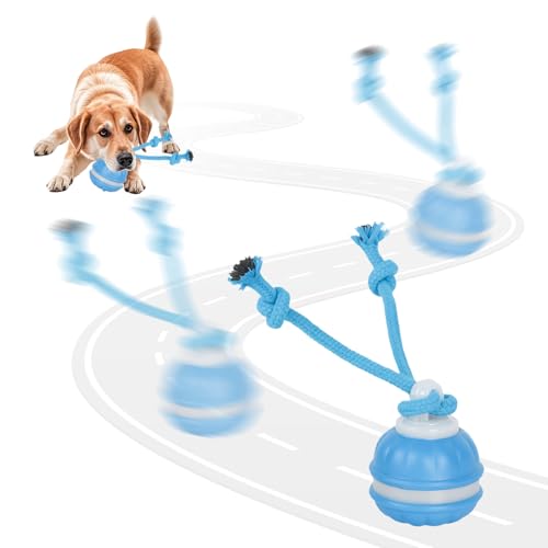 Noaya 2026 New Chase Buddy Dog Toy - Interactive Dog Ball for Boredom with 2 Chew Ropes Active Dog Ball with Tail and Bird Sounds USB Charging Moving Dogs Toys for Small Medium Large Dogs (Blue)