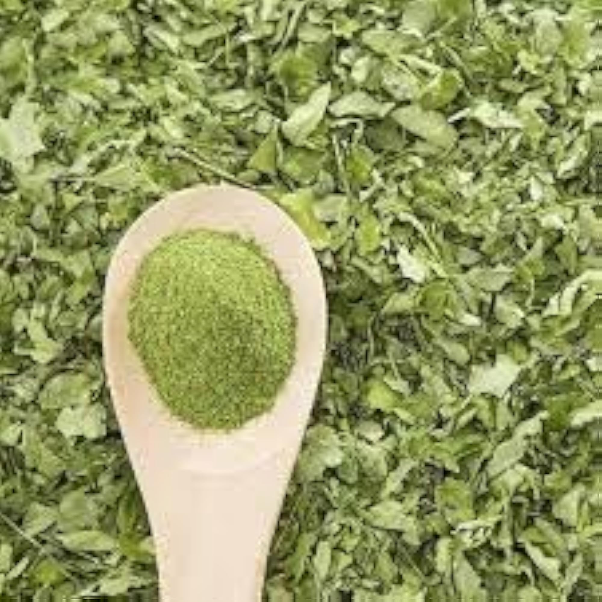 Organic Moringa Leaves 100 Grams