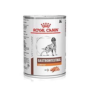 Royal Canin Canine Gastrointestinal Comida para perros baja en grasa 12 x 410g