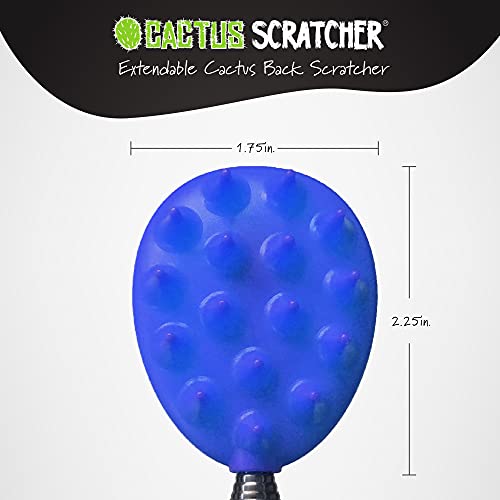 Extendable Cactus Back Scratcher, Abs Plastic, Relieves Itching On Back, Neck, Head, Beard, And Body, 16 Spikes Per Side, 8.5 Inches Compact Back Scratcher Extendable To 24.5 Inches (Blue) #TOP3