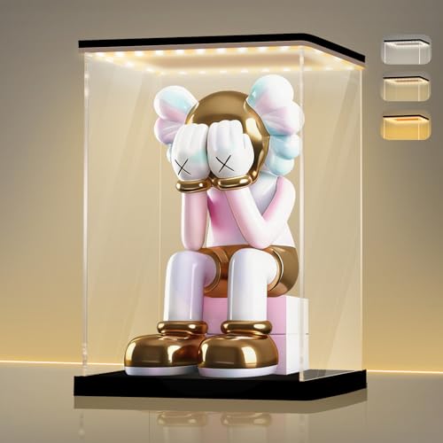 LANSCOERY Clear Acrylic Display Case with Light Cube Organiz...