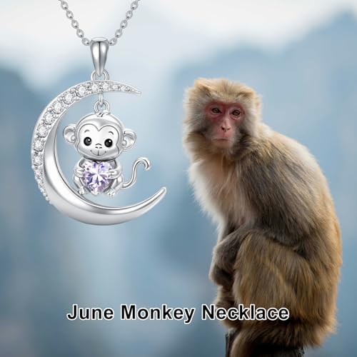 Image of PROESS Animal Birthstone Necklace 925 Sterling Silver Otter /Axolotl /Hippo /Elephant /Dachshund /Monkey /Red Panda Pendant Necklace Animal Birthstone Jewelry Gifts for Women
