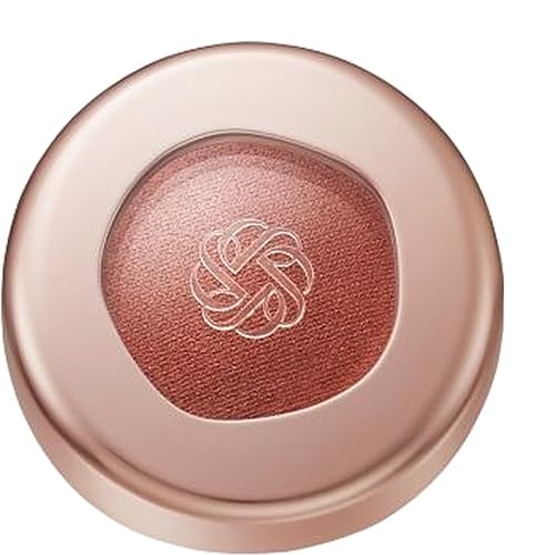 R[Z[ RXfRe COSME DECORTE ACOEWF XLVhE Silky Matte 6g ACVhE 27M rustic brown