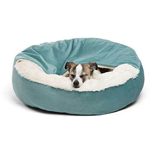 Fluffy Cat Bed in 2021 (with Reviews!)