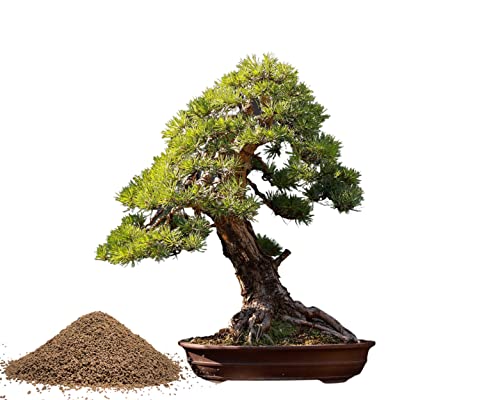 Fertilizante Orgánico para Bonsai 3 Lbs miniatura 6
