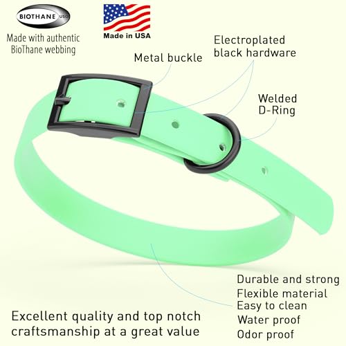 Image of Dogline Biothane Waterproof Dog Collar Strong Coated Nylon Webbing with Black Hardware Odor- Proof for Easy Care Easy to Clean High Performance Fits Small Medium or Large Dogs, Sea Foam Green