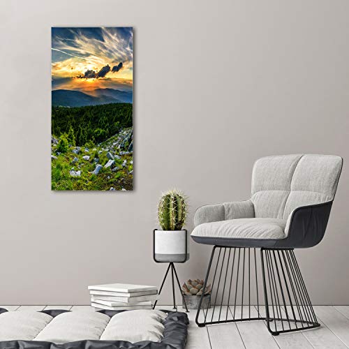 Impression sur Verre Acrylique Tulup 50x100 cm | Tableau Panorama des Montagnes Vert
