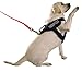 Viper Biothane Working Tracking Lead Leash Long Line for Dogs 2 Colors and 6 Sizes
