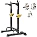 Weightlifting Commercial Bench Press Barbell Rack Squat Stand Adjustable Bench Press Rack 250KG Max Load Multi-Function Weight Lifting Home Gym Fitness Home Indoor Strength Training