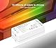 lighteu®, Milight Miboxer 2,4 GHz RGBW RGB+weißer LED Streifen Controller DC12V/24V Ausgang max. 12A, FUT038S