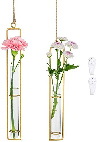 テラリウム 吊り下げの人気商品 通販 価格比較 価格 Com