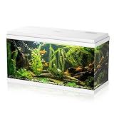Aqpet Acquario in Vetro per Pesci tropicali Completo di Accessori Filtro Luce Simply, 100 80x32x47 cm 100 Litri, Bianco