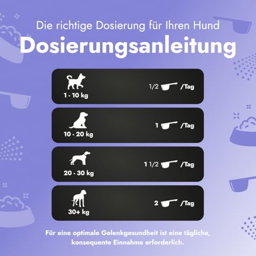 Petstile Joint Saver®: Kollagen, Glucosamin, Teufelskralle, Grünlippmuschel & Hagebutte – unterstützt Gelenke, Hüfte & Mobilität Erwachsener Hunde, wirkt entzündungshemmend (1x 150 g)