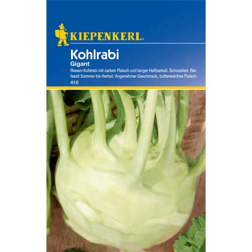Kohlrabi, 'Gigant'